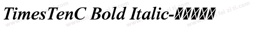 TimesTenC Bold Italic字体转换